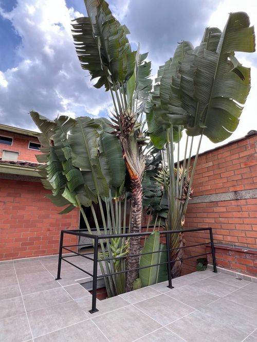Casa de 4 alcobas en venta en La Sebastiana, Envigado, 310 m² · foto 8 de 13