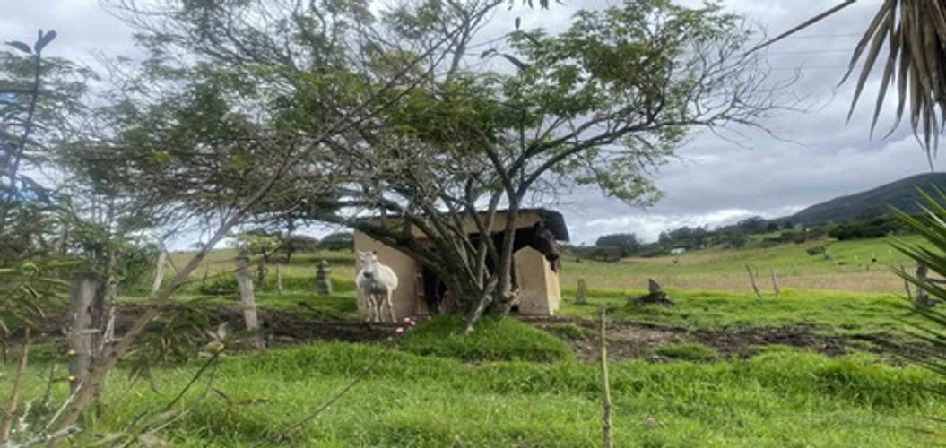 Casa en venta en El Volcan, La Calera · foto 6 de 20