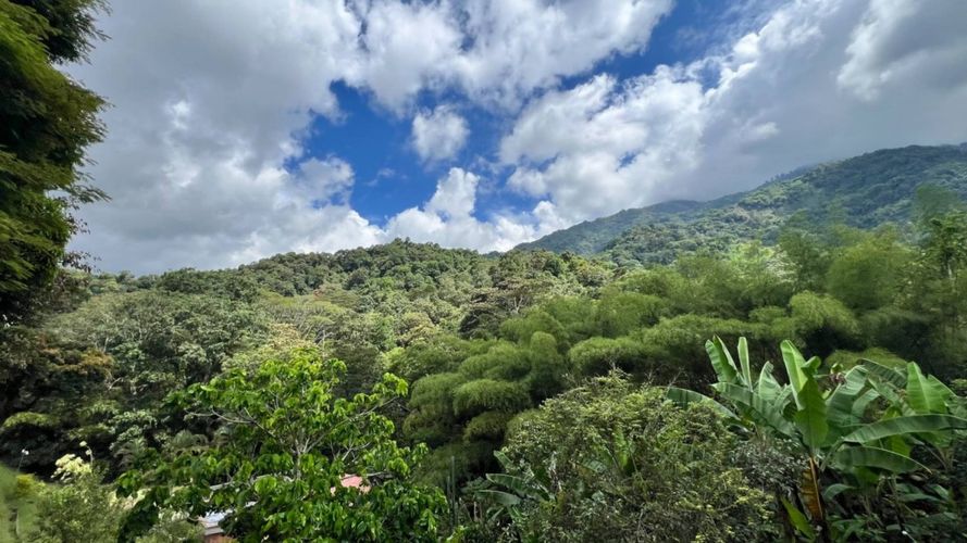 Casa de 3 alcobas en venta en Belen, Ibagué, 260 m² · foto 23 de 24