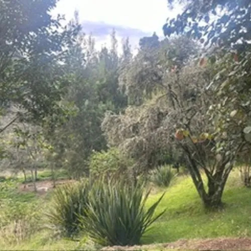 Casa en venta en El Hato, La Calera · foto 10 de 12