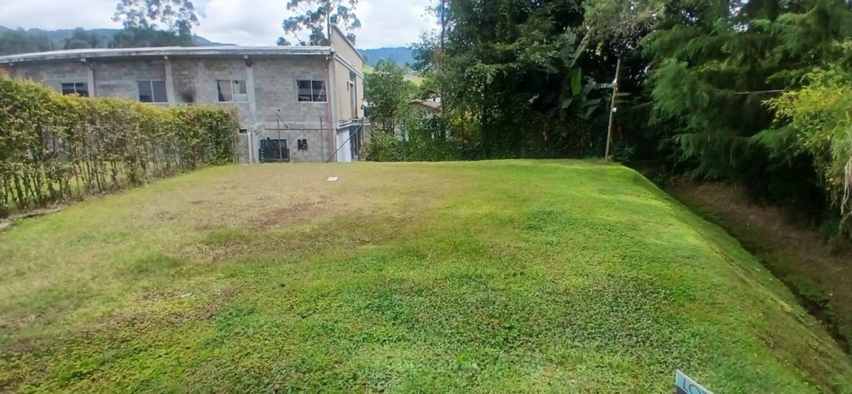 Land in Los salados (368 m²) for Sale
