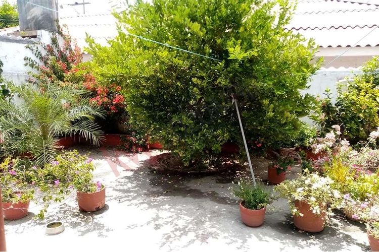 Apartamento en venta en Paraiso, Barranquilla · foto 12 de 24
