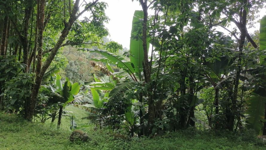 Lote en venta en Rincon Dapa, Yumbo, 4500 m² · foto 2 de 18