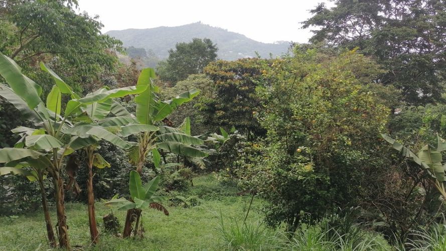 Lote en venta en Rincon Dapa, Yumbo, 4500 m² · foto 5 de 18