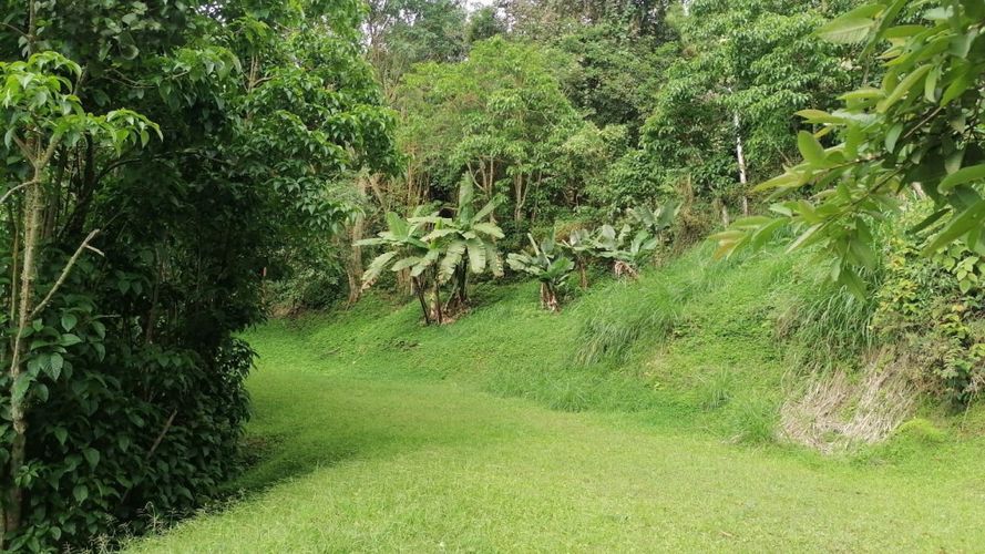 Lote en venta en Rincon Dapa, Yumbo, 4500 m² · foto 6 de 18