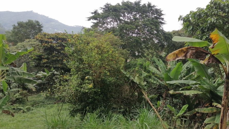 Lote en venta en Rincon Dapa, Yumbo, 4500 m² · foto 7 de 18