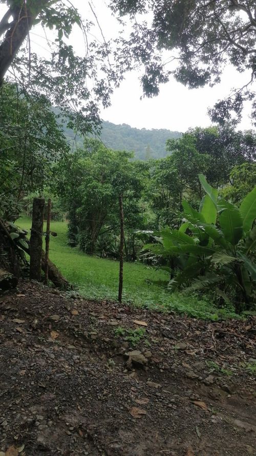 Lote en venta en Rincon Dapa, Yumbo, 4500 m² · foto 9 de 18