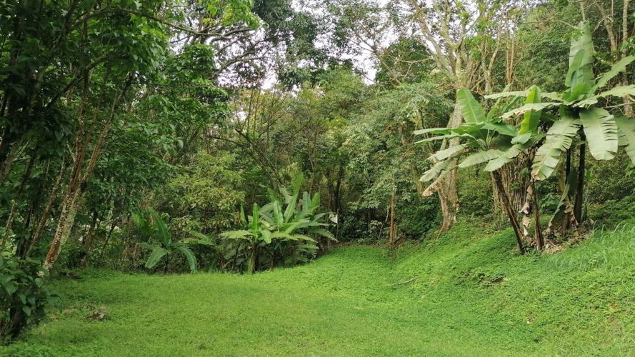 Lote en venta en Rincon Dapa, Yumbo, 4500 m² · foto 10 de 18