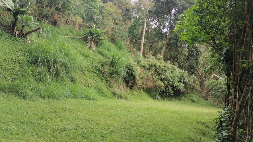 Lote en venta en Rincon Dapa, Yumbo, 4500 m² · foto 12 de 18