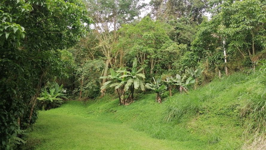 Lote en venta en Rincon Dapa, Yumbo, 4500 m² · foto 13 de 18