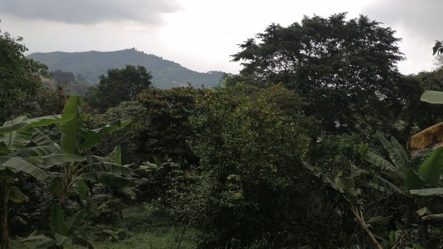 Lote en venta en Rincon Dapa, Yumbo, 4500 m² · foto 16 de 18