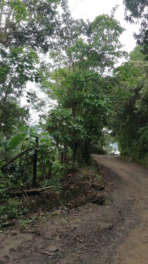 Lote en venta en Rincon Dapa, Yumbo, 4500 m² · foto 18 de 18
