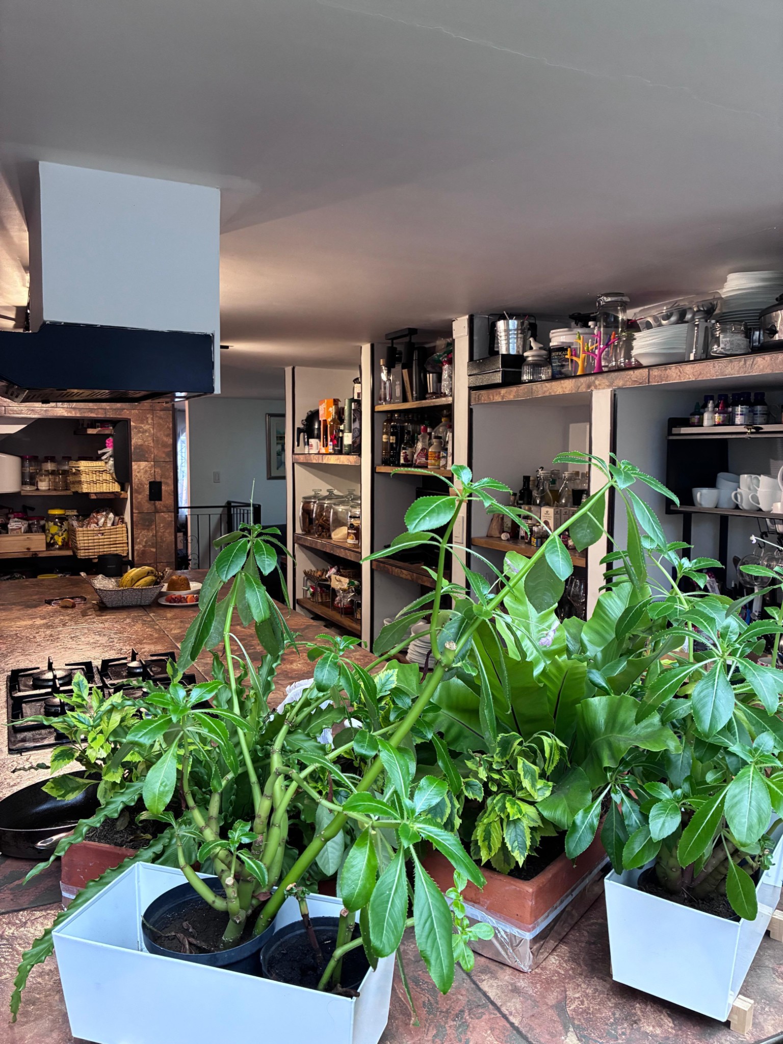 Casa en venta en Lagos De Cordoba, Bogotá · foto 13 de 21