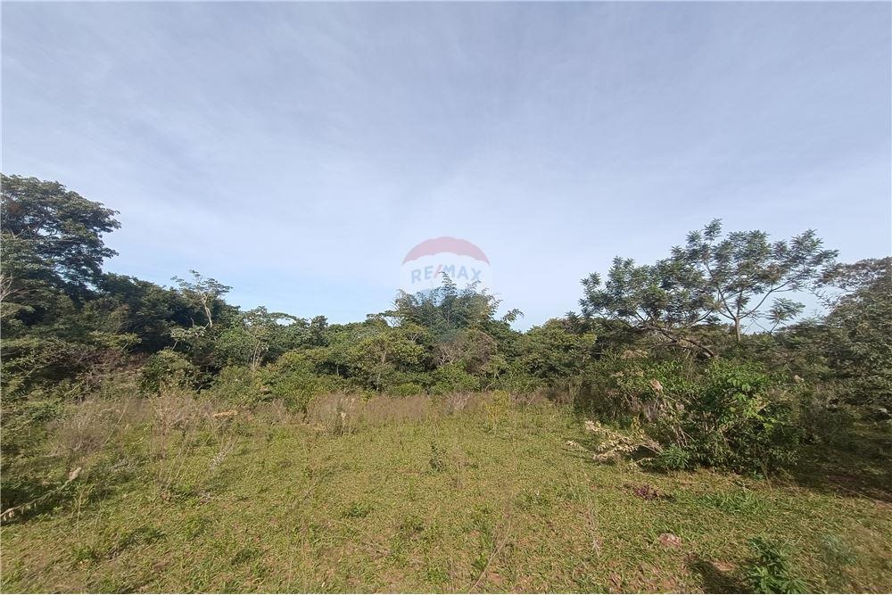 TERRENO DE 8 HECTÁREAS CON ARROYO EN SAN ESTANISLAO EN VENTA — foto 2