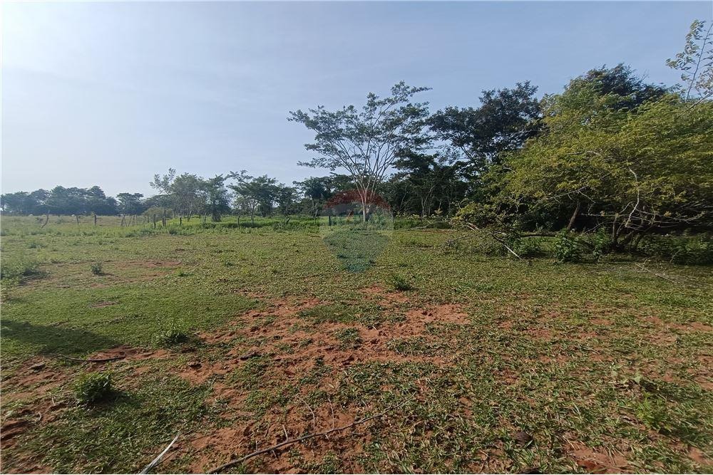 TERRENO DE 8 HECTÁREAS CON ARROYO EN SAN ESTANISLAO EN VENTA — foto 3