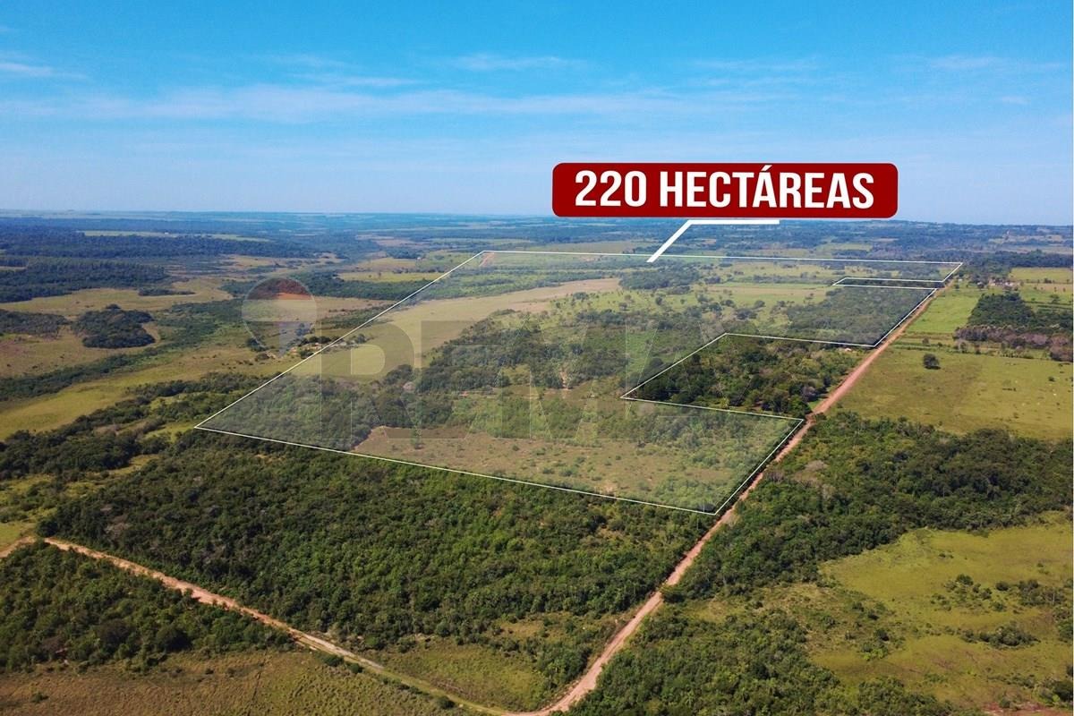 ESTANCIA DE 220 HECTÁREAS EN PUNTA SUERTE - SAN ESTANISLAO EN VENTA — foto 2
