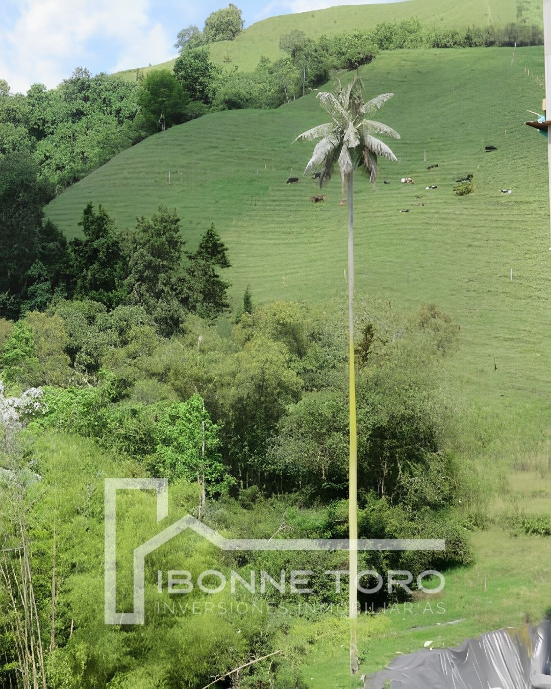 Apartamento en venta en Avenida Alberto Mendoza, Manizales · foto 7 de 18