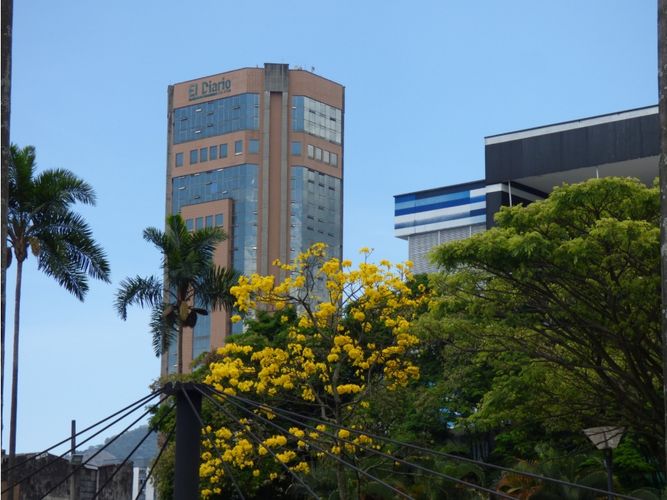 Oficina en arriendo en Sector Plaza De Bolivar, Pereira, 25 m² · foto 8 de 8