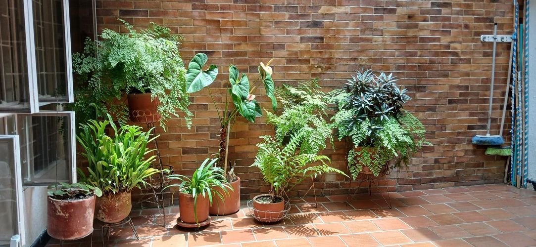 Casa de 5 alcobas en venta en Provenza, Bucaramanga, 170 m² · foto 19 de 24