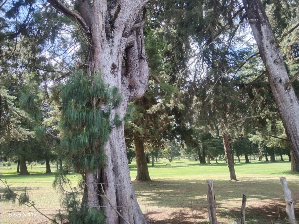 1BR Land in Cuatro esquinas (873 m²) for Sale