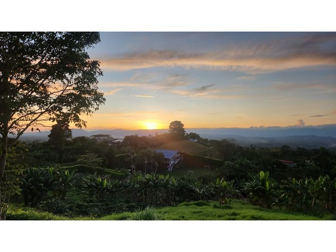 Finca en venta en Arabia, Pereira, 850 m² · foto 3 de 24