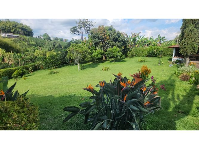 Finca en venta en Arabia, Pereira, 850 m² · foto 13 de 24