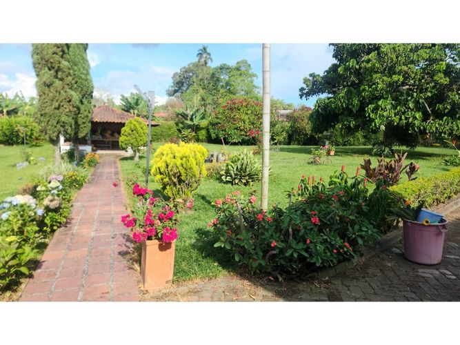 Finca en venta en Arabia, Pereira, 850 m² · foto 14 de 24