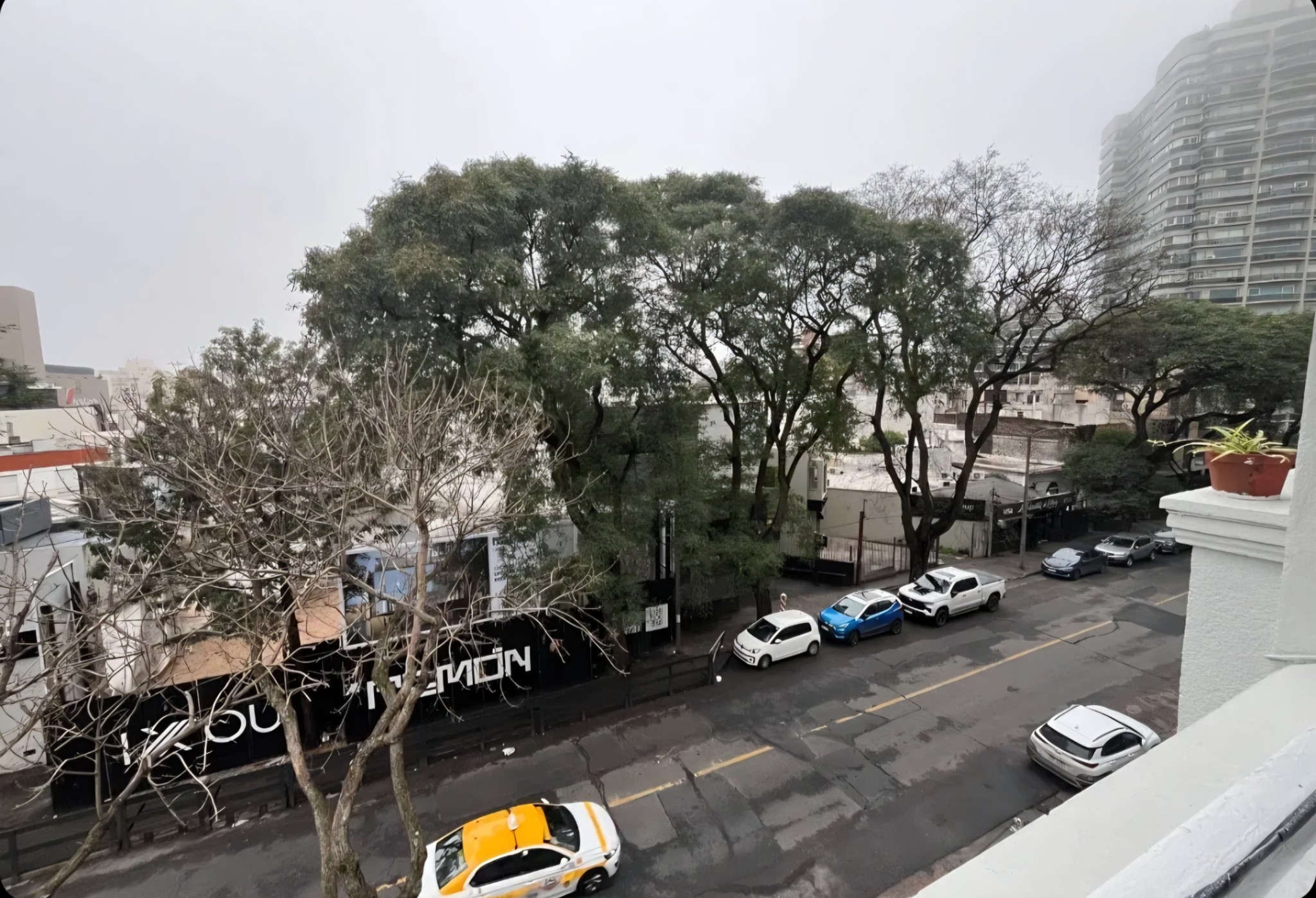Exclusivo apartamento de 2 dormitorios en Punta Carretas: balcón al frente con terraza al fondo con churrasquera, piso 3 por cómoda escalera. · Foto 2