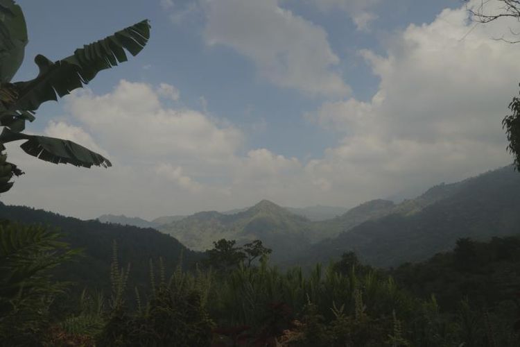 Finca en venta en La Flora, Cali, 200 m² · foto 16 de 16