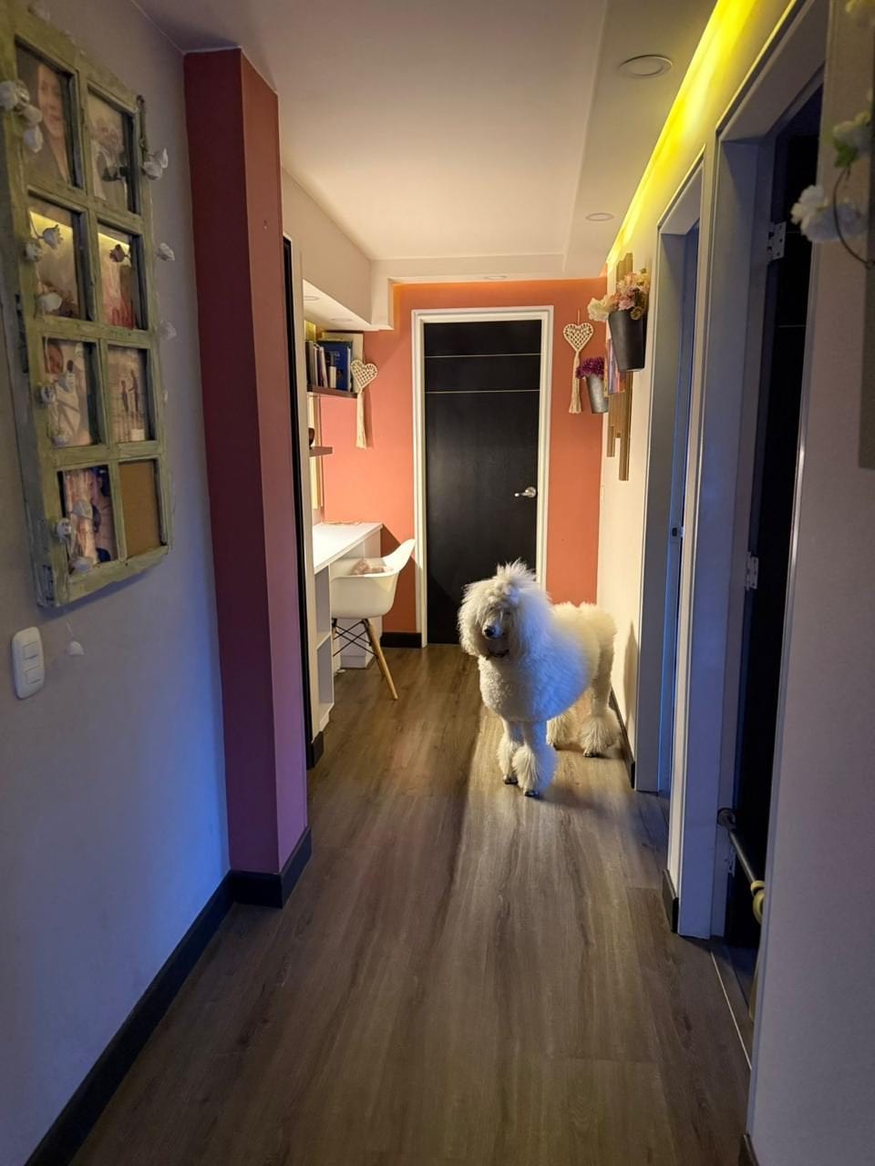 Apartamento en venta en Las Villas, Bogotá · foto 19 de 24