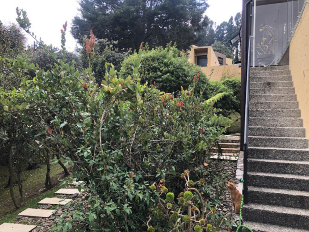 Casa en venta en Vereda El Salitre, La Calera · foto 18 de 19
