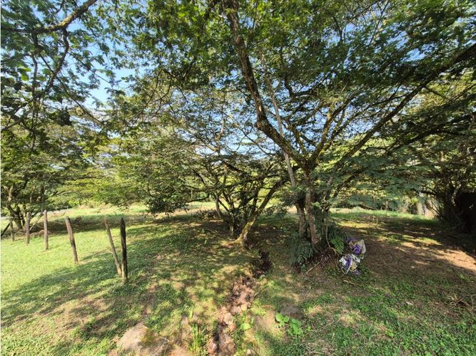 Lote en venta en Pance, Cali, 1902 m² · foto 2 de 19