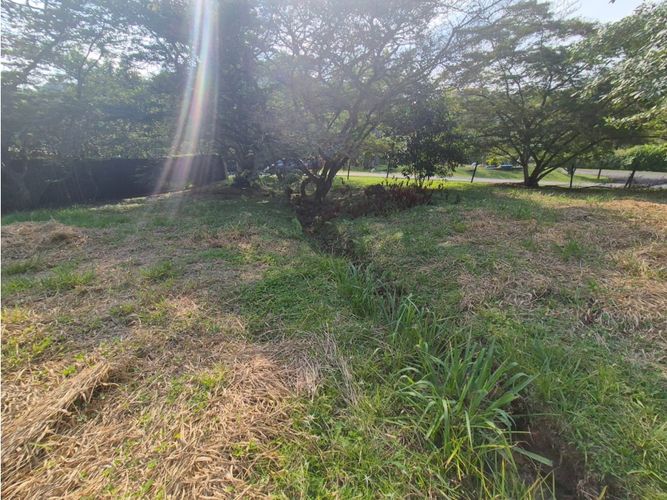 Lote en venta en Pance, Cali, 1902 m² · foto 11 de 19