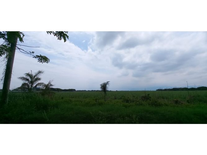 Lote en venta en Palmaseca, Palmira · foto 2 de 10