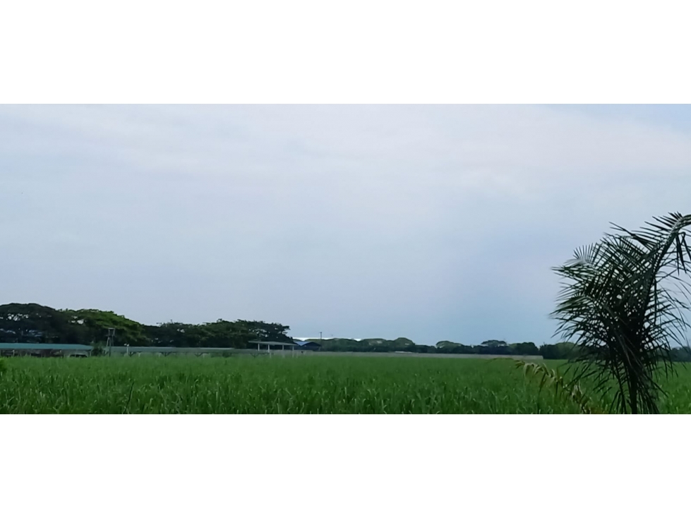 Lote en venta en Palmaseca, Palmira · foto 3 de 10