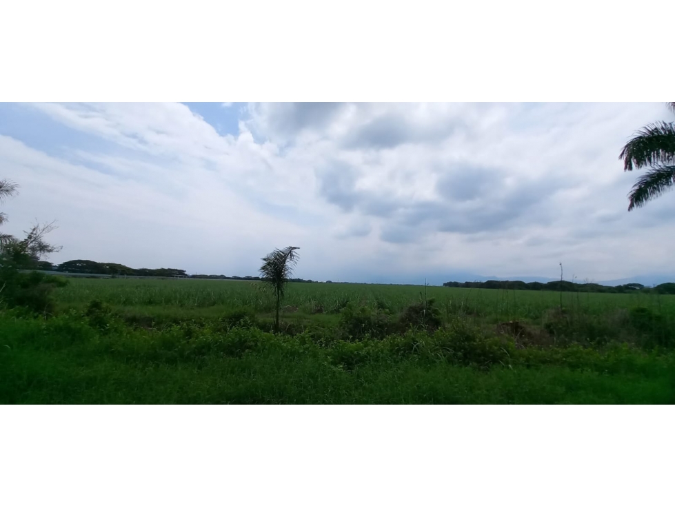 Lote en venta en Palmaseca, Palmira · foto 5 de 10