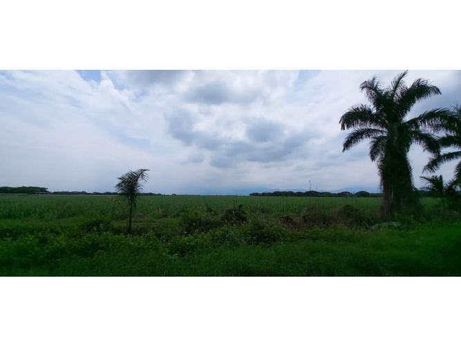 Lote en venta en Palmaseca, Palmira · foto 6 de 10