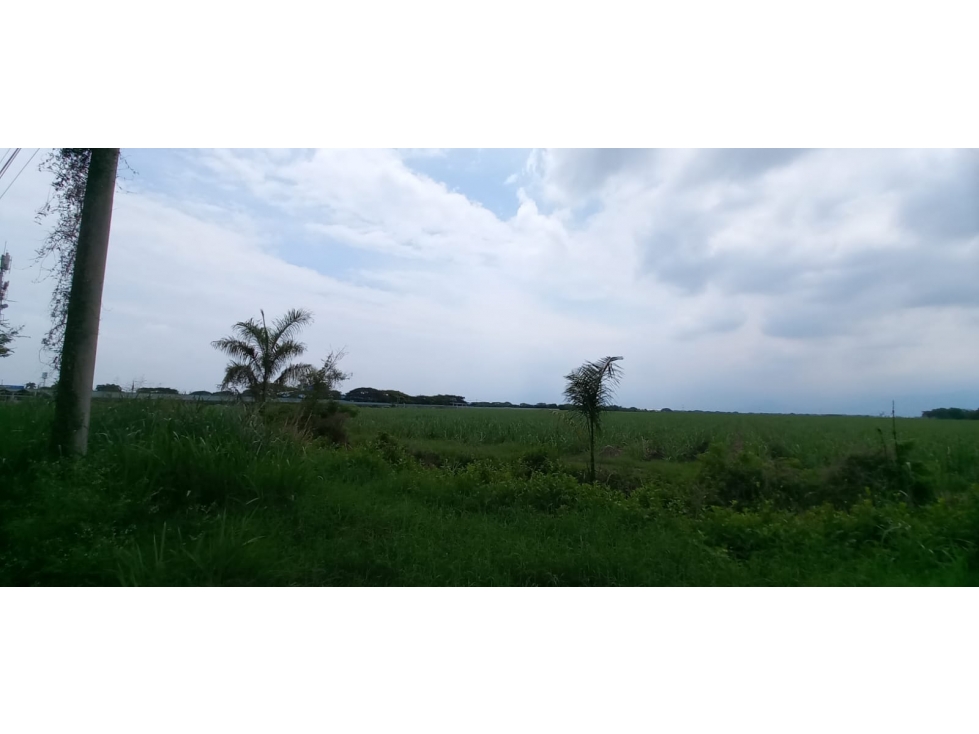 Lote en venta en Palmaseca, Palmira · foto 8 de 10