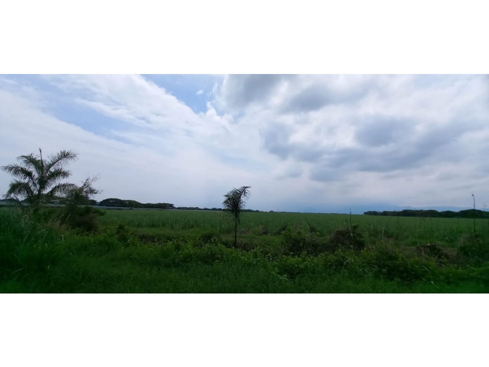 Lote en venta en Palmaseca, Palmira · foto 9 de 10