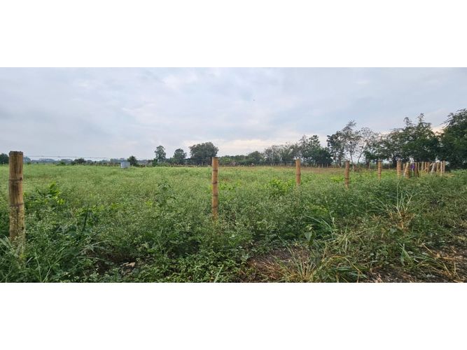 Lote en venta en La Herradura, Palmira, 5000 m² · foto 2 de 18