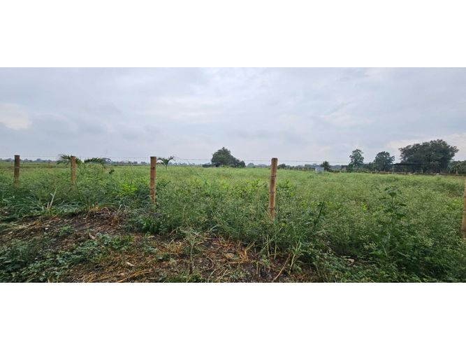 Lote en venta en La Herradura, Palmira, 5000 m² · foto 3 de 18