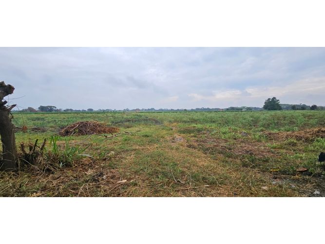 Lote en venta en La Herradura, Palmira, 5000 m² · foto 4 de 18