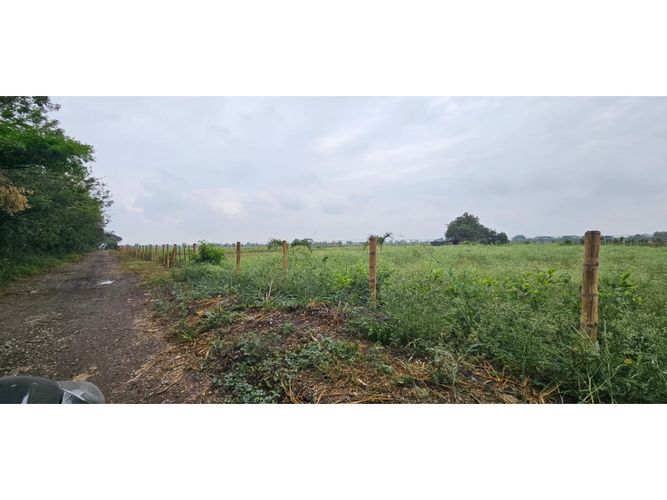 Lote en venta en La Herradura, Palmira, 5000 m² · foto 5 de 18