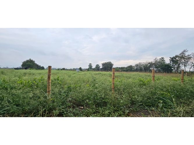 Lote en venta en La Herradura, Palmira, 5000 m² · foto 6 de 18