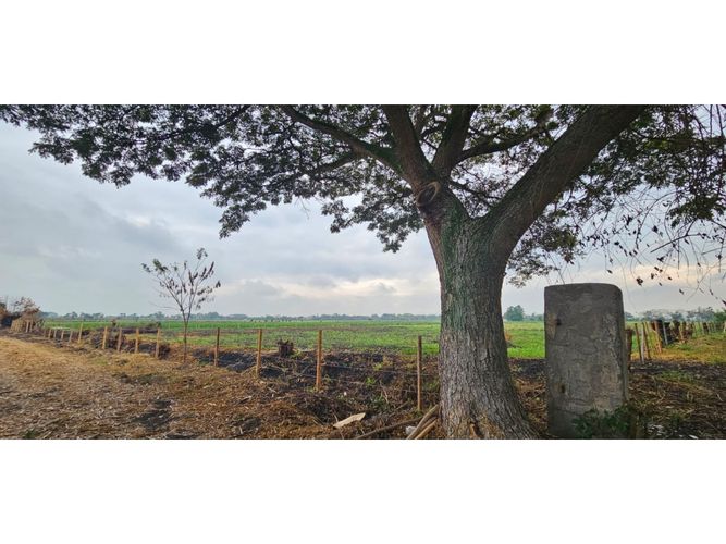 Lote en venta en La Herradura, Palmira, 5000 m² · foto 7 de 18