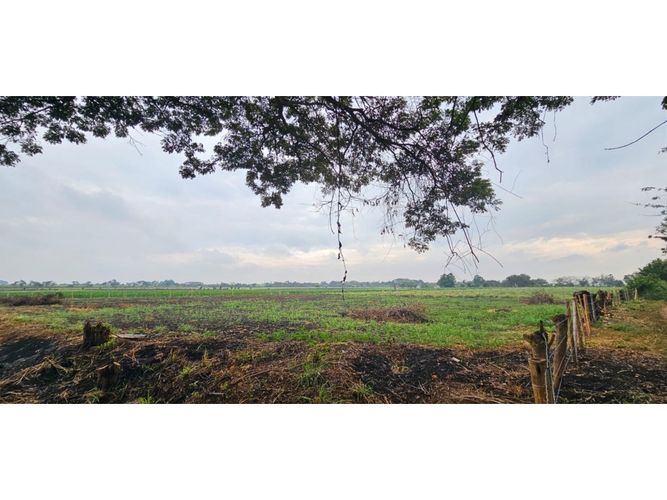 Lote en venta en La Herradura, Palmira, 5000 m² · foto 8 de 18
