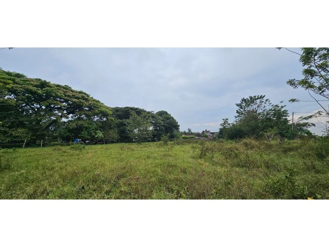 Lote en venta en La Herradura, Palmira, 5000 m² · foto 9 de 18