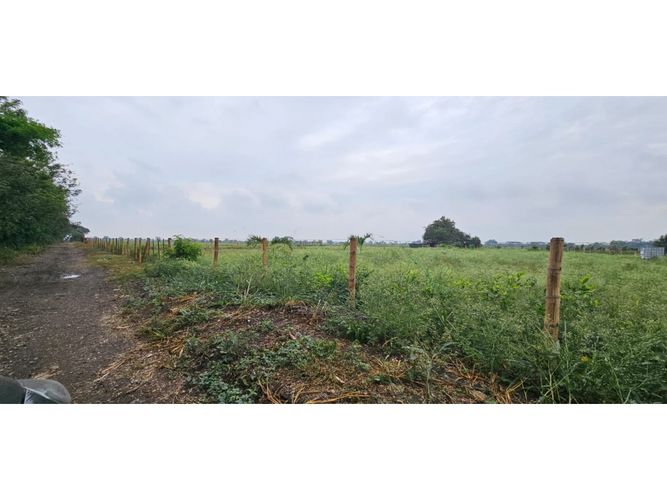 Lote en venta en La Herradura, Palmira, 5000 m² · foto 10 de 18