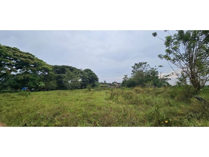 Lote en venta en La Herradura, Palmira, 5000 m² · foto 11 de 18