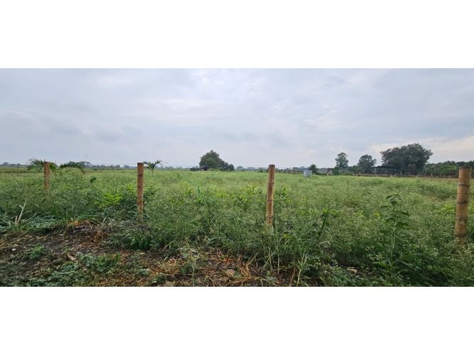 Lote en venta en La Herradura, Palmira, 5000 m² · foto 12 de 18